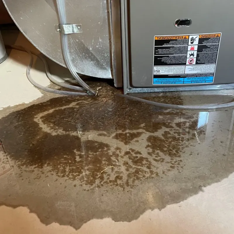 Pipe Burst and Leak Restoration in South Miami Heights, FL